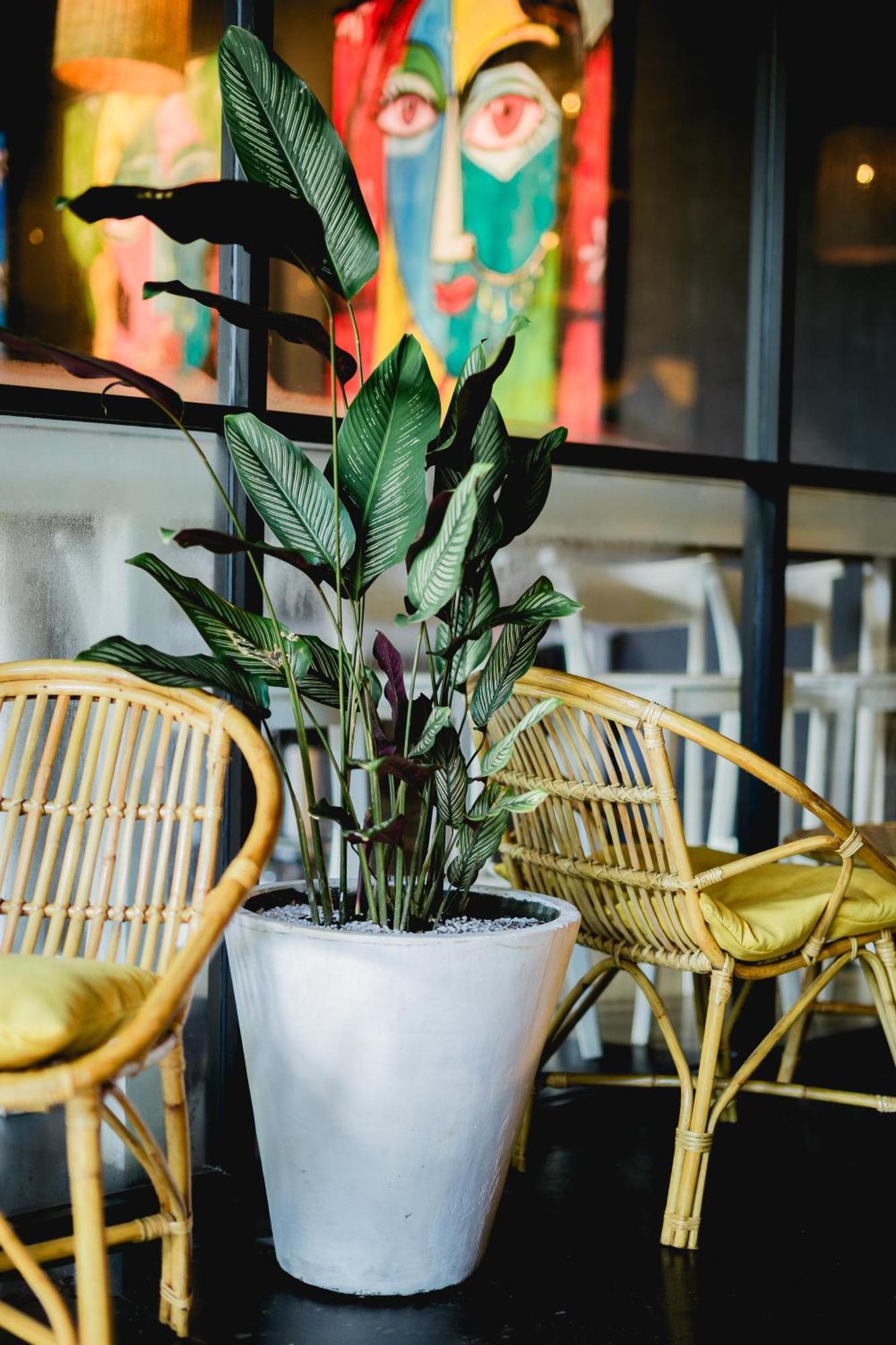 Sugar Hostel Weligama - Coliving & Coworking Extérieur photo